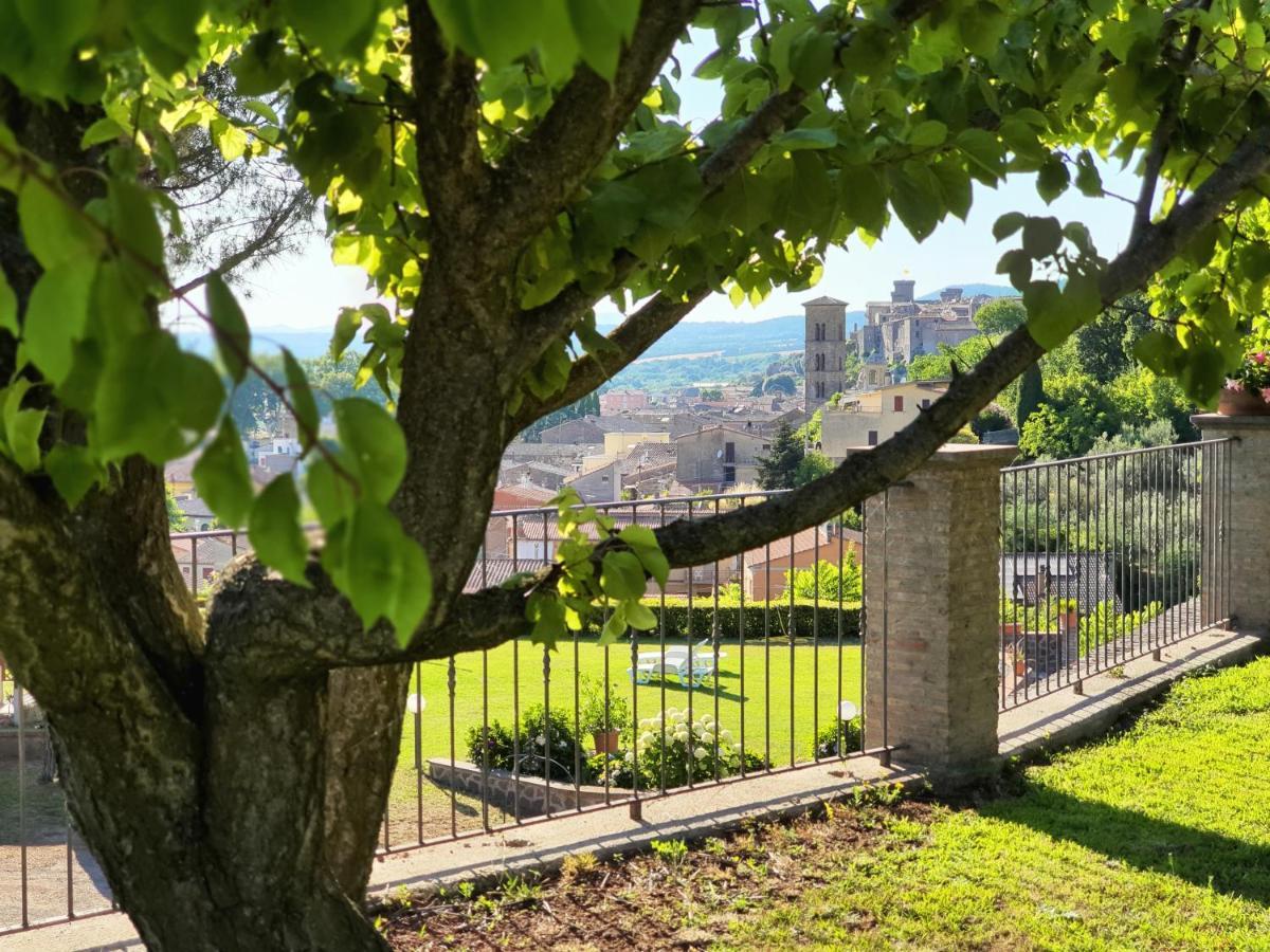 Agriturismo Le Vigne Bolsena Buitenkant foto